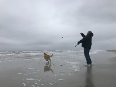 A man wearing a black jacket, jeans, and sneakers is standing on a beach and appears to be mid-throw, as a ball soars through the air toward the surf. A light-colored dog races after it. It's a gloomy day, the sky covered by gray clouds.