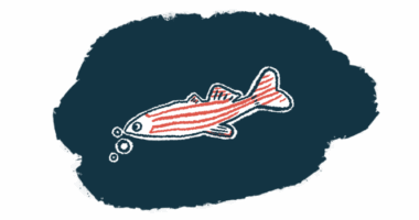 A small, elongated zebrafish with horizontal stripes across its body blows bubbles