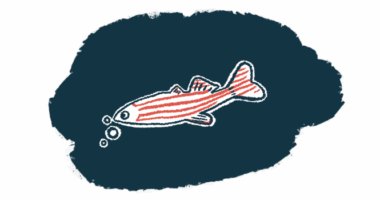 A small, elongated zebrafish with horizontal stripes across its body blows bubbles