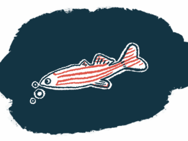 A small, elongated zebrafish with horizontal stripes across its body blows bubbles