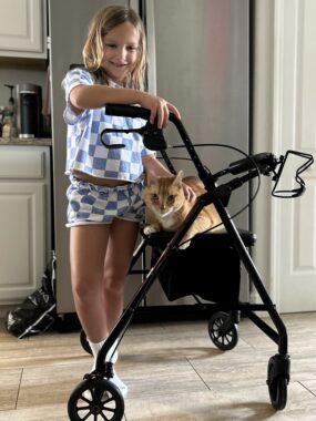 A cat sits in a collator being pushed by a child.