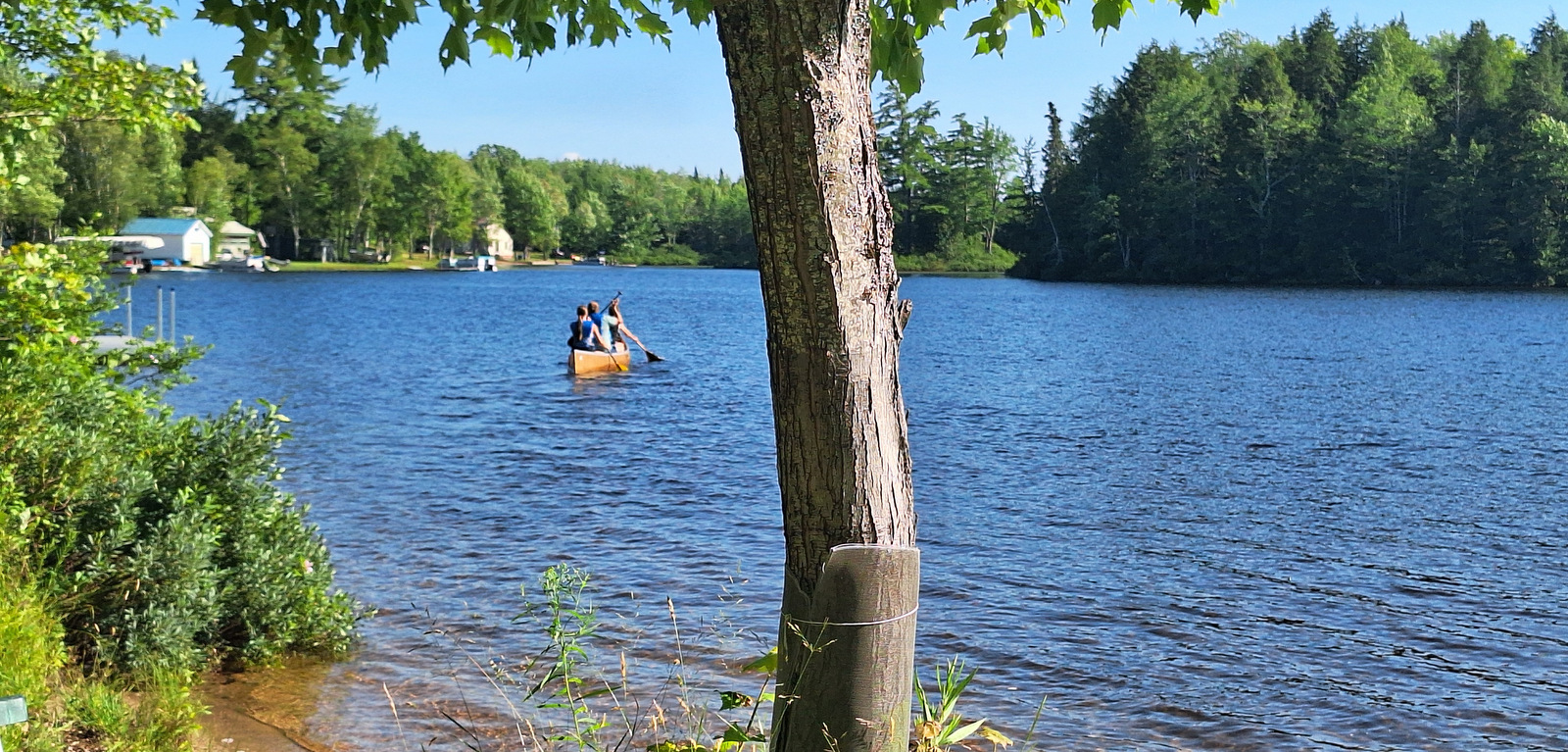 A photo taken from the shore of a lake shows three people paddling in a canoe. The lake is surrounded by tall trees, and it looks like a warm, sunny day.