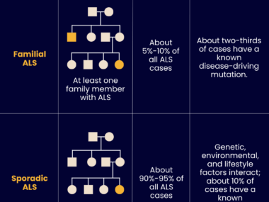 A graphic showing ALS types.