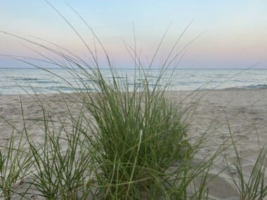A postcard-worthy photo of a Midwestern beach at dusk, with it's light blue, pink, yellow, and orange hues in the sky and the broad expanse of Lake Michigan. The photo is taken facing the lake and the horizon, but from behind a tall section of beachgrass. 