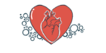 Illustration of an anatomical heart inside a red heart shape.